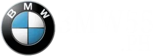 555bmwwin.ph Logo